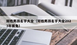 郑姓男孩名字大全（郑姓男孩名字大全2023年属兔）