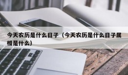 今天农历是什么日子（今天农历是什么日子属相是什么）